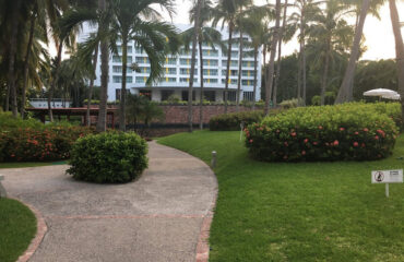 RESORT GARDEN (2)